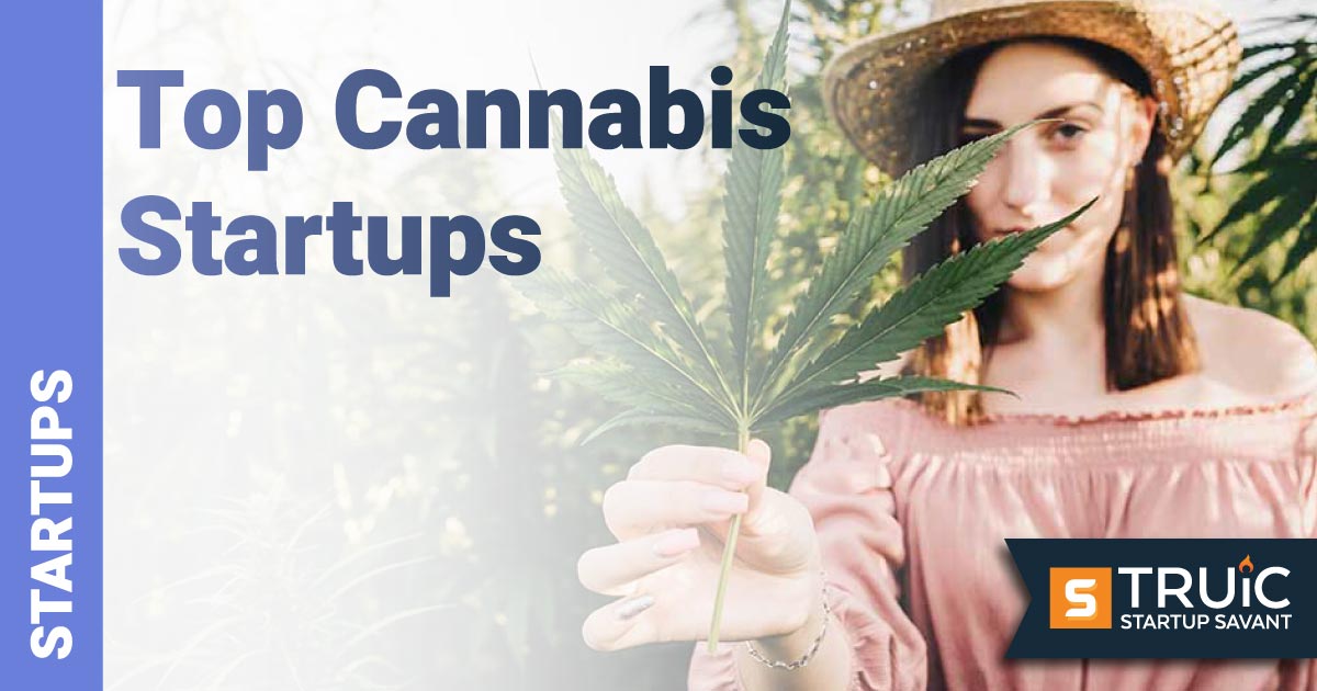 Woman in a field holding a cannabis leaf.