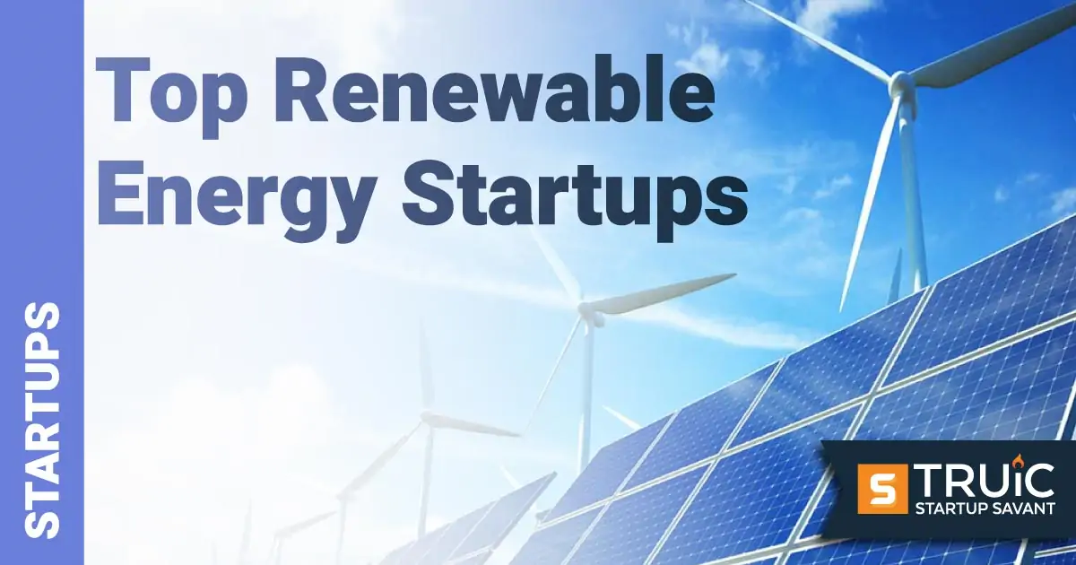 Solar panels and windmills.